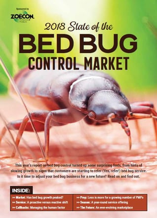 Large photo of a bed bug